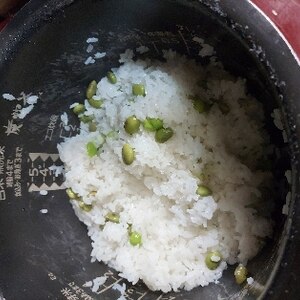 枝豆ごはん♪